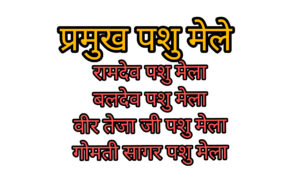 पशु मेले