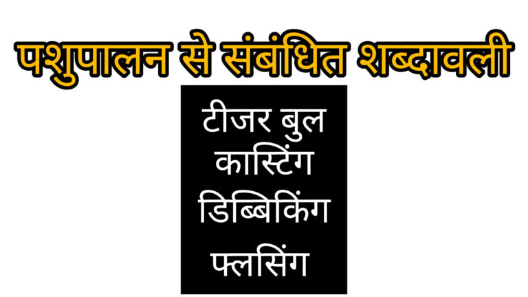 पशुपालन शब्दावली