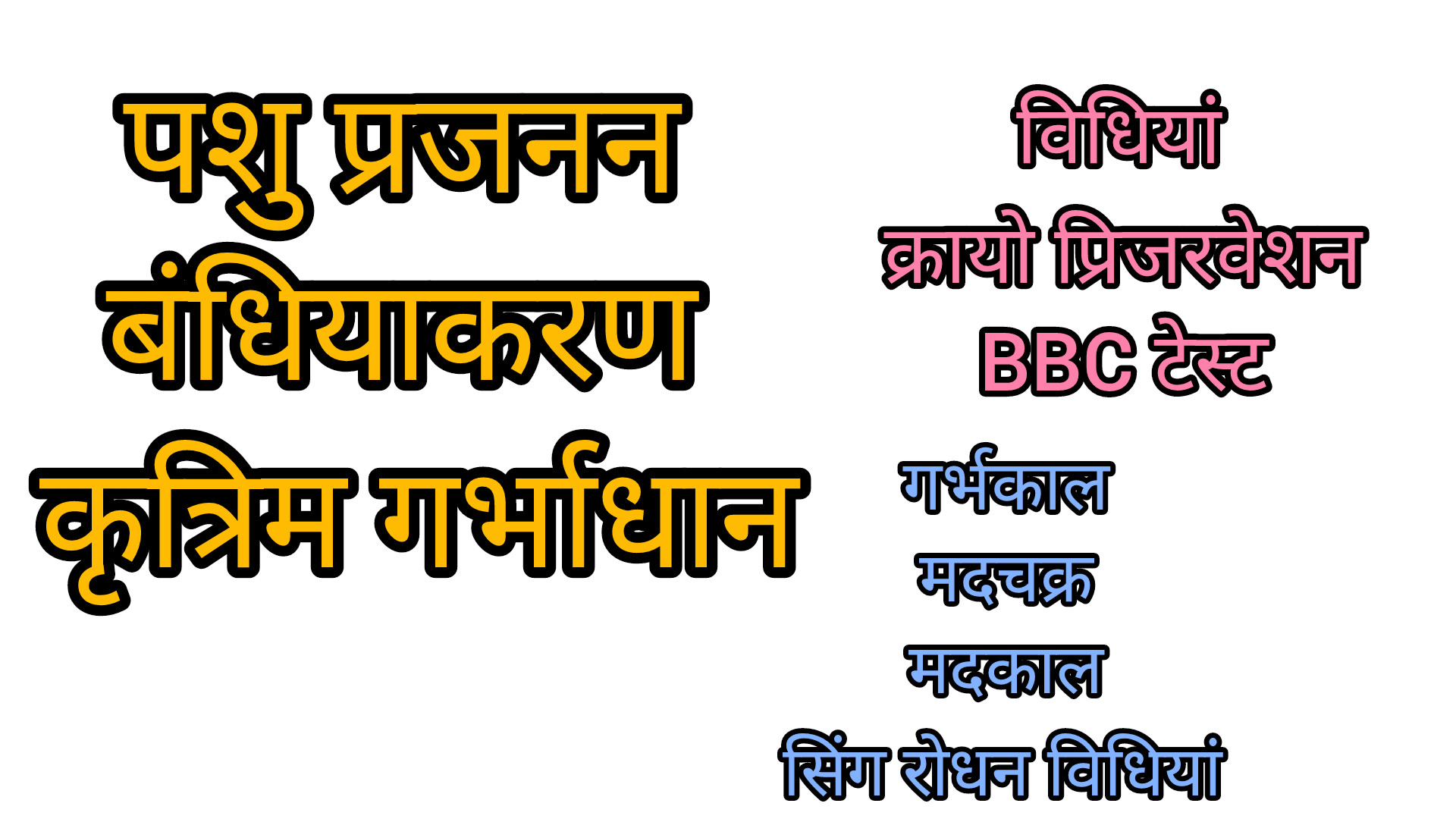 पशु प्रजनन