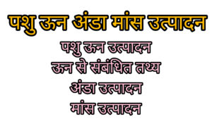 पशु ऊन