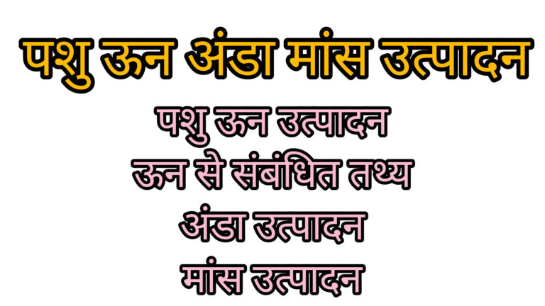 पशु ऊन