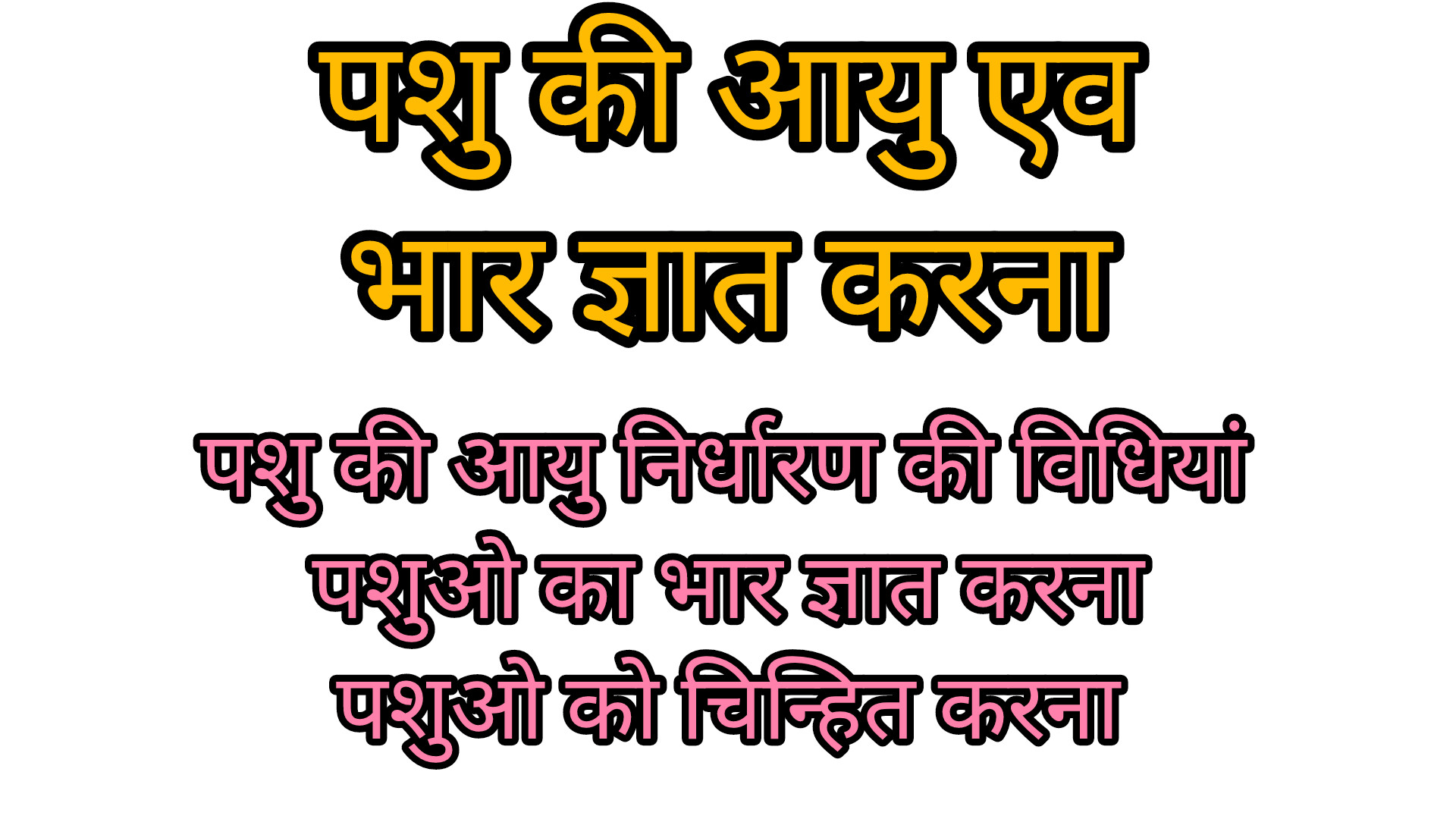 पशु की आयु