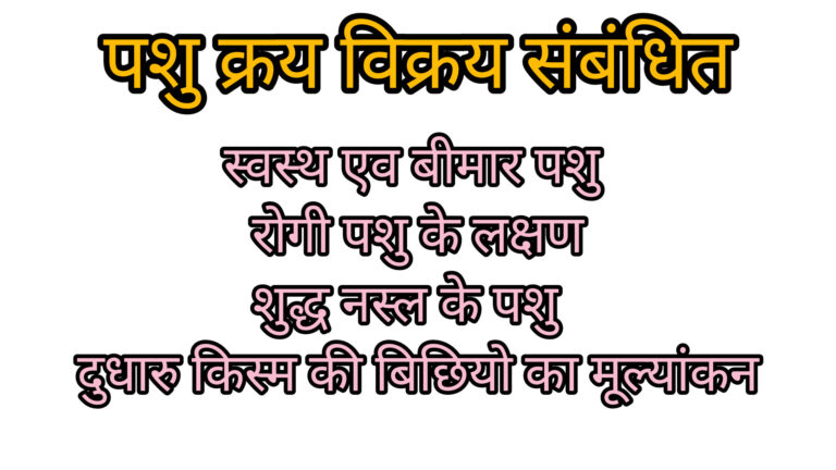 पशु क्रय विक्रय