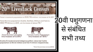 पशुगणना