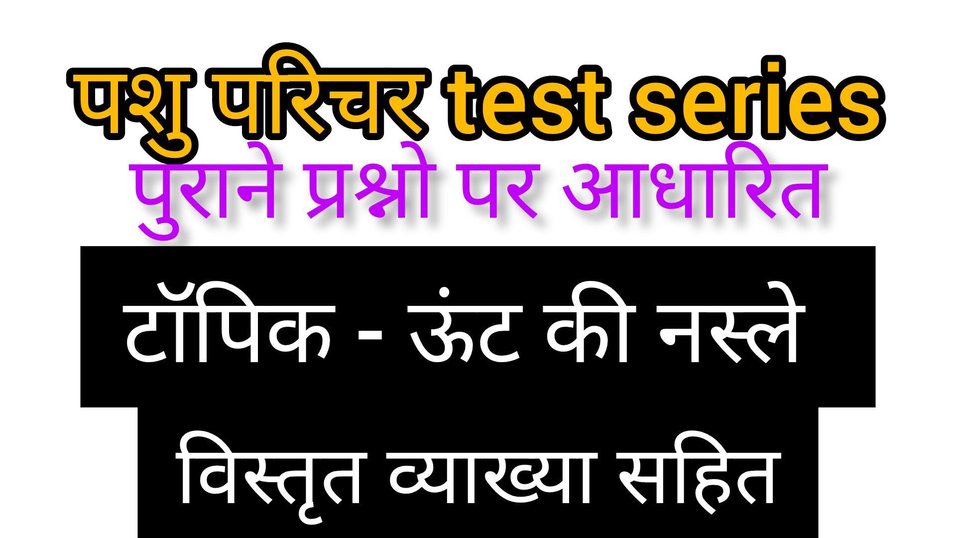 ऊंट की नस्ले MCQ