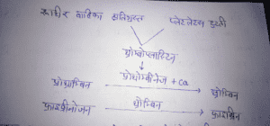 रक्त का थक्का