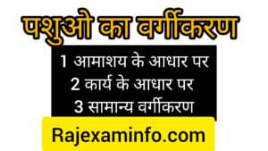 पशुओ का वर्गीकरण