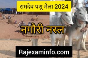 रामदेव पशु मेला